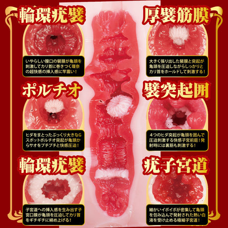 NPG - 杰作实证 16 Kanna Seto 逼真立体躯干自慰器（米色）