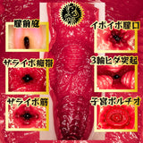 NPG - Rika Tsubaki The Ultimate Pleasure Seeking Vagina Onahole Masturbator (Beige) NPG1326 CherryAffairs
