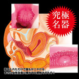 NPG - The Dignity of a Masterpiece Black Label Meiki Onahole (Beige) NPG1171 CherryAffairs